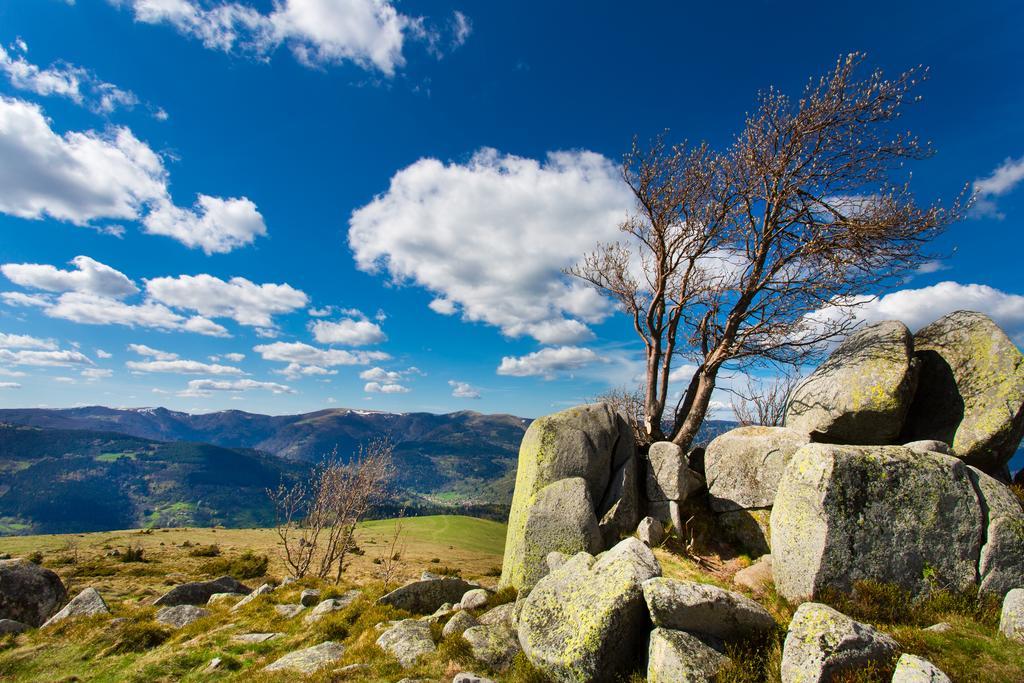 Gite Chez Mimie Breitenbach-Haut-Rhin ภายนอก รูปภาพ
