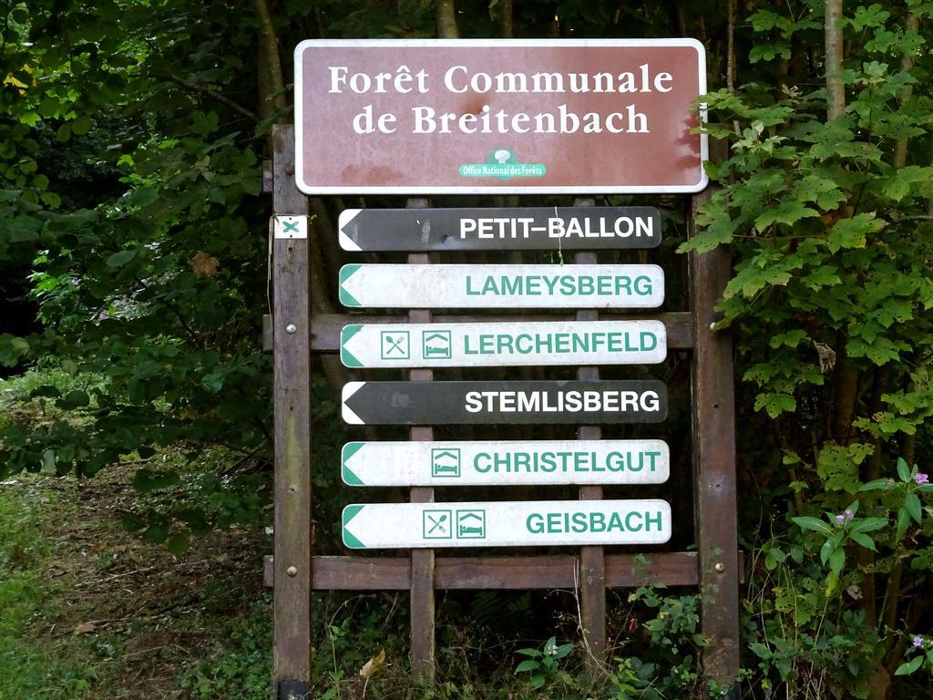 Gite Chez Mimie Breitenbach-Haut-Rhin ภายนอก รูปภาพ