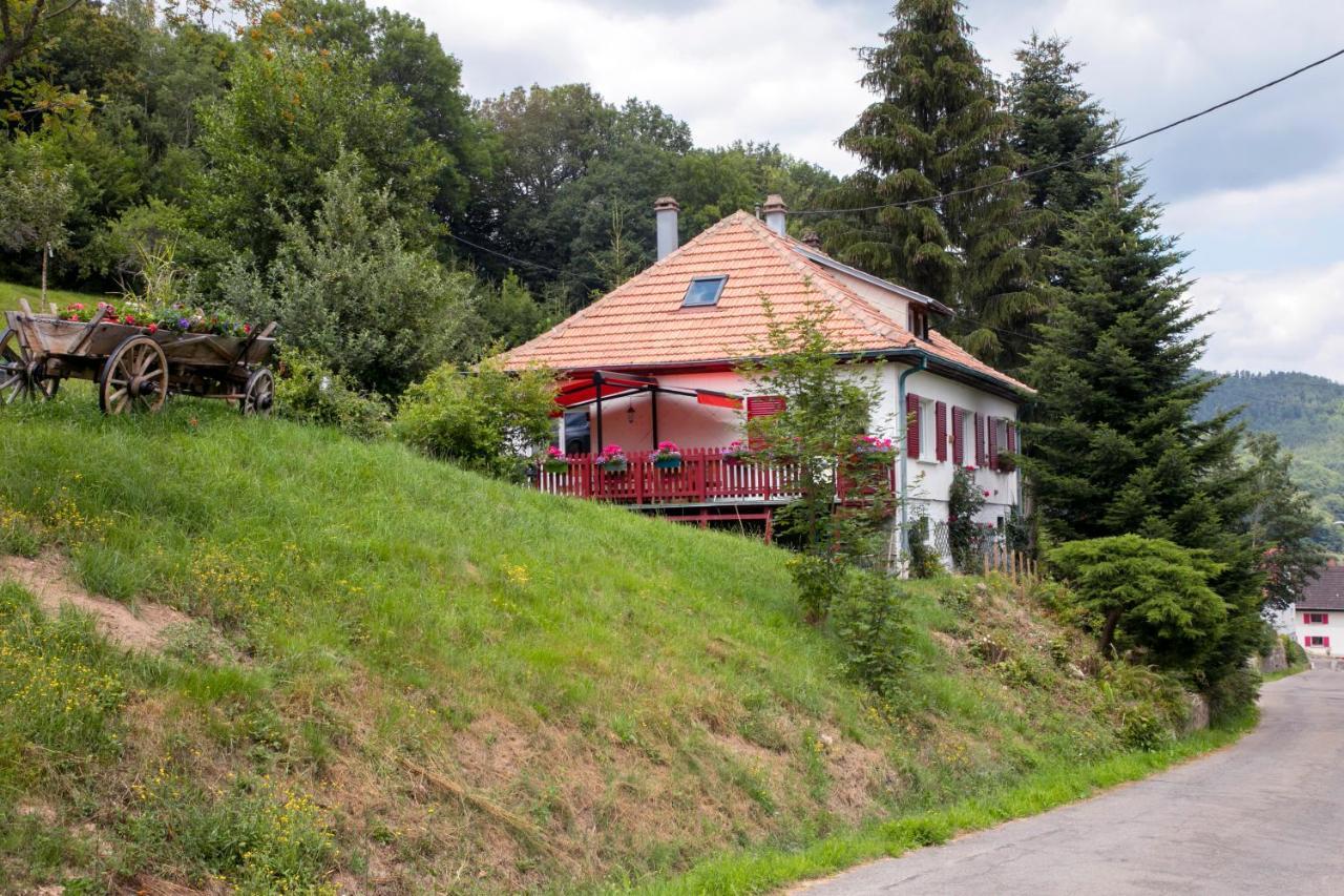 Gite Chez Mimie Breitenbach-Haut-Rhin ภายนอก รูปภาพ