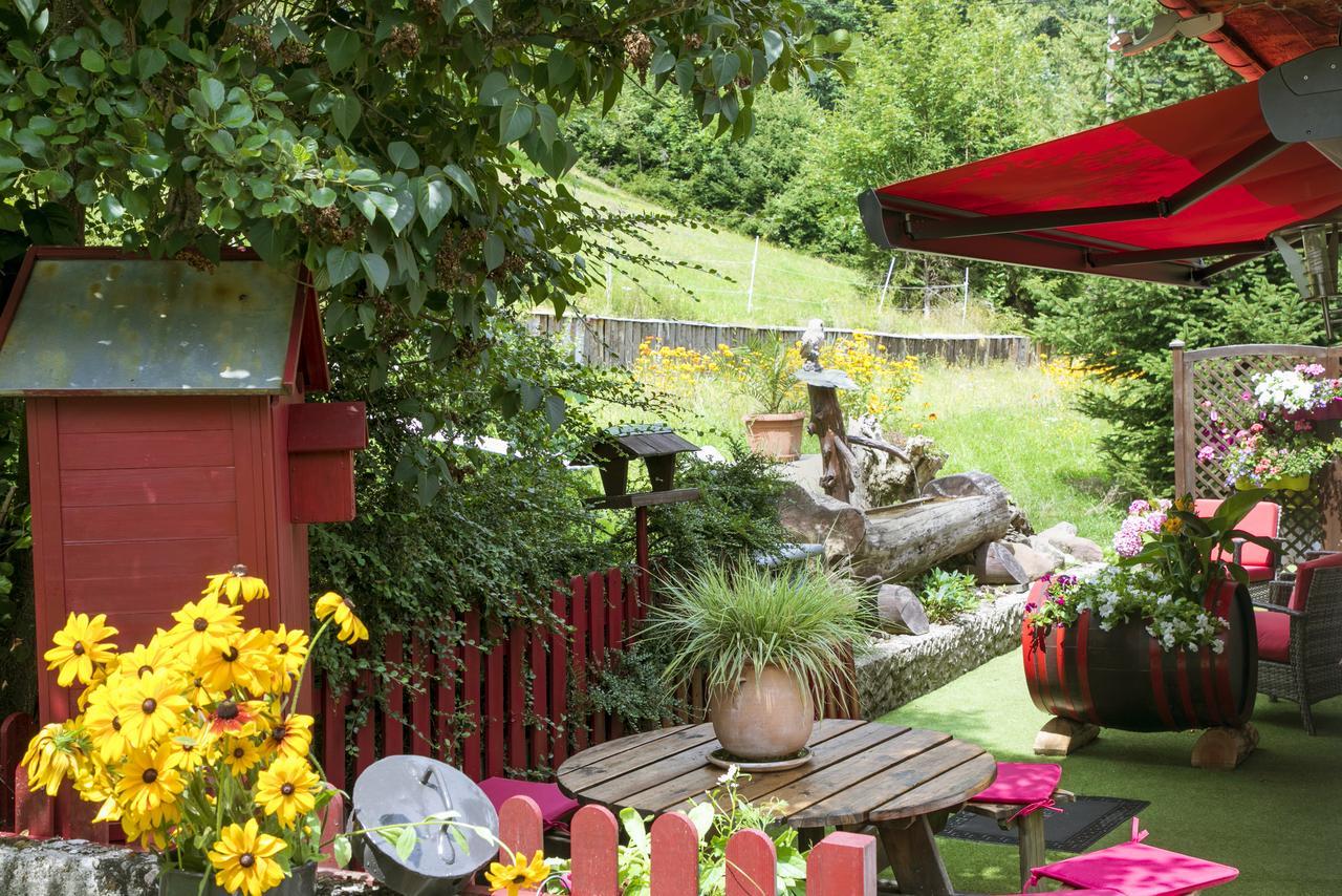 Gite Chez Mimie Breitenbach-Haut-Rhin ภายนอก รูปภาพ