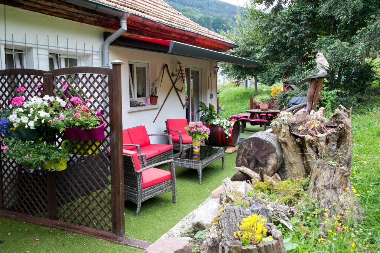 Gite Chez Mimie Breitenbach-Haut-Rhin ภายนอก รูปภาพ